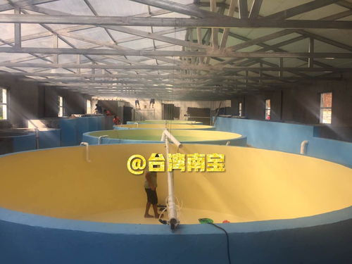 循環水工廠化水產養殖中繁育池漆與培育池漆的作用及其特種建材特性